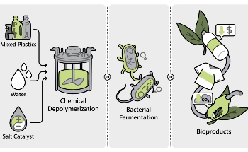 New Method Converts Mixed Plastics Into Biodegradable Polymers