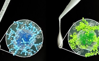 Saliva Substitute Technology Aids People Suffering From Dry Mouth