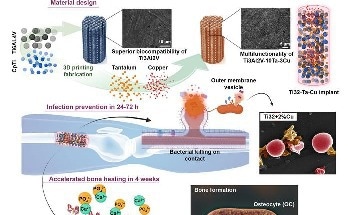 Potential Load-Bearing Implants Made of Additively Manufactured Ti-Ta-Cu Alloys