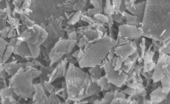 Streamlining Bone Regeneration with Co-Doped Monetites