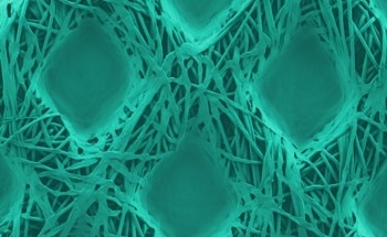 New Coating Process to Eliminate Pathogens from Fabrics