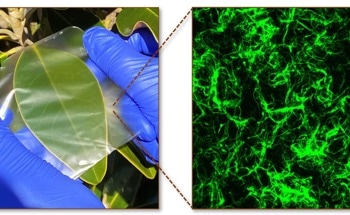 Biopolymer Composite Films as Multifunctional Plastics Substitute