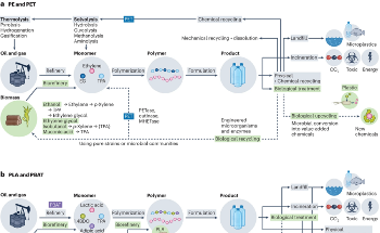 Sustainable Production and Degradation of Plastics Using Microbes