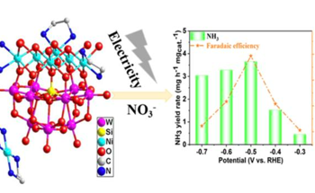 Effective Transformation of Nitrate Pollution into Ammonia