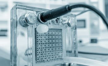 New Model for Optimizing Water Flow in PEM Fuel Cells