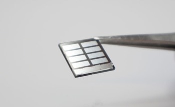 Unraveling the Impact of Molecule Size on Perovskite Solar Cell Stability