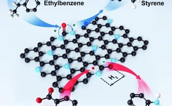 The Role of Nitrogen Dopants in Nanocarbon Catalysis