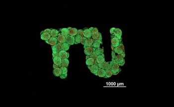 3D Printing Offers a Novel Method for Creating Artificial Tissue
