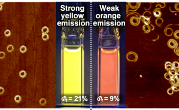 Exploring the Effect of Ring Closing on Fluorescence of Supramolecular Polymers