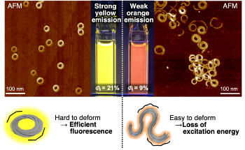 The Photoluminescence Characteristics of Randomly Coiled and Toroidal Supramolecular Polymers