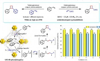 Effective Synthesis of Various Bioactive Compounds