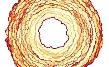 Universal Mechanism Causes Adhesion Hysteresis in Soft Materials