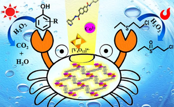 Using Bifunctional Catalysts to Solve Environmental Pollution Issues