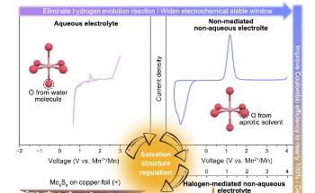 Halogen-Mediated Solvation Enhances Manganese Metal Performance