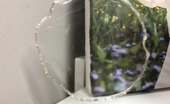 Stable and Recyclable Plastics Made from Plant Materials