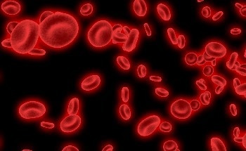 Next-Generation Stents: How 3D Bioprinting is Advancing Cardiovascular Treatment
