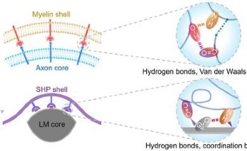 Mechanical-Electrical Coupling-Based Dynamically Stable Self-Healable Wire