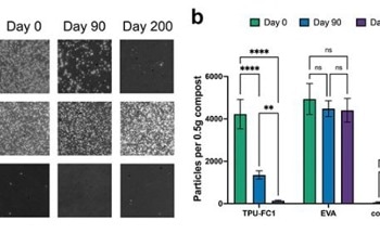 Bio-Based Thermoplastic Polyurethane Introduces Biodegradable Microplastics