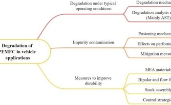 Unlocking Strategies for Long-Lasting PEMFCs in Cars