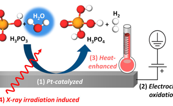 Tender X-Rays Reveal Multiple Oxidation Processes at the Platinum-Electrolyte Interface