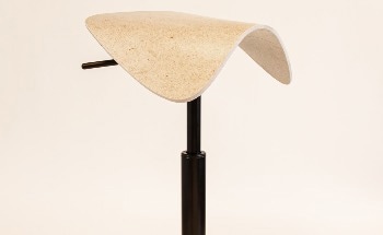 Novel Biocomposite Chair Made from Cellulose