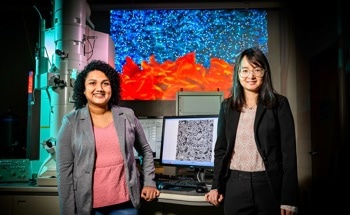 Importance of Nanoscale Empty Space in Everyday Materials