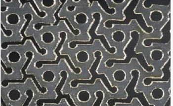 Kirigami Hydrogels Rise From Cellulose Film