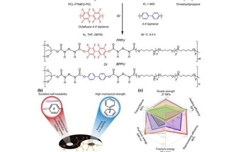 Unveiling the Potential of Fluorinated Phenolic Polyurethane Elastomers