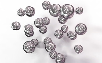 Silver-loaded Poly(vinyl alcohol)/Polycaprolactone Polymer-based Antibacterial Scaffold
