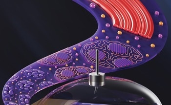 Developing Energy-Efficient Sensors for Next-Generation Monitoring