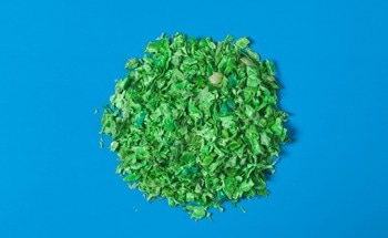 Plant-Filled Polymer Composites Based on Highly Plasticized Polyvinyl Chloride