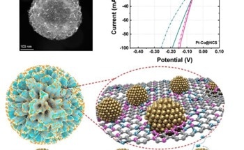 New Catalyst Boosts Efficiency in Hydrogen Production