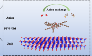 One-Step Polyelectrolyte Production Boosts Efficiency of Organic Solar Cells