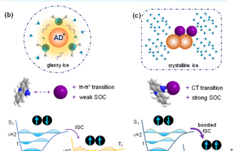 New Method Unveils Organic Molecules in Ice