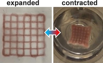 3D-Printed Hydrogels as Photothermal Actuators
