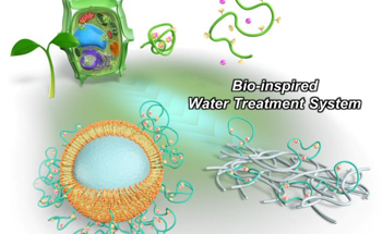 New Method for Water Purification