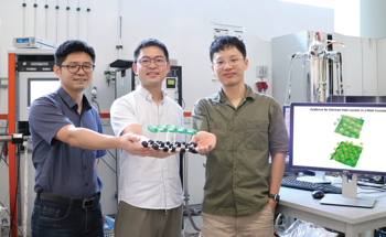 Novel Method Visualizes Elusive Electron-Hole Crystals