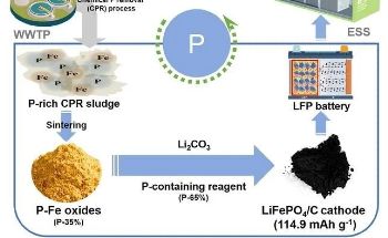 Innovative Approach to Address Phosphorus Scarcity