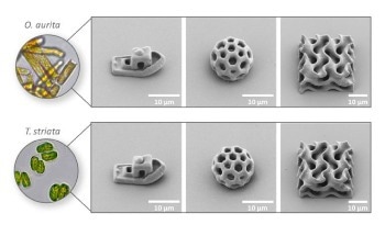 A New Generation of Biocompatible Materials for Additive Manufacturing