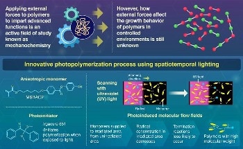 Understanding Polymer Behavior Under External Forces