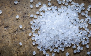 Recycled Glass Used as a Soil Substitute for Growing Fresh Vegetables