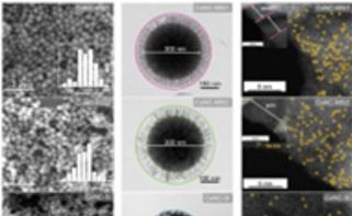 Single-Atom Catalysis Helps Control Water Pollution