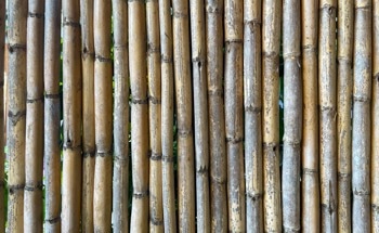 Innovative Cross-Sections for Bamboo-based Structural Columns