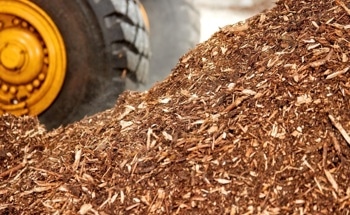 Microwave-Assisted Catalytic Cracking of Biomass for Olefin Production