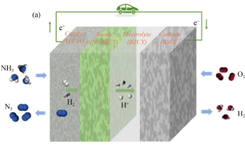 Enhancing the Electrochemical Performance of Direct Ammonia Fuel Cells
