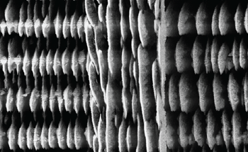 3D Printing Enhances Micro Energy Storage