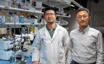 A Novel Electrochemical Reactor for Direct Air Capture