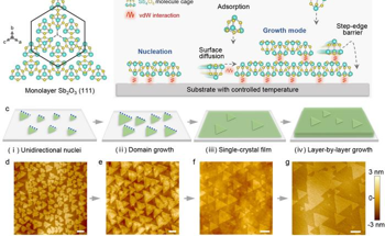 Single-Crystal Molecular Films for Scalable Devices