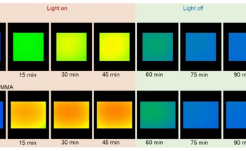 Pectin as a Novel Photothermal Material