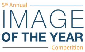 EVIDENT Image of the Year Award 2024